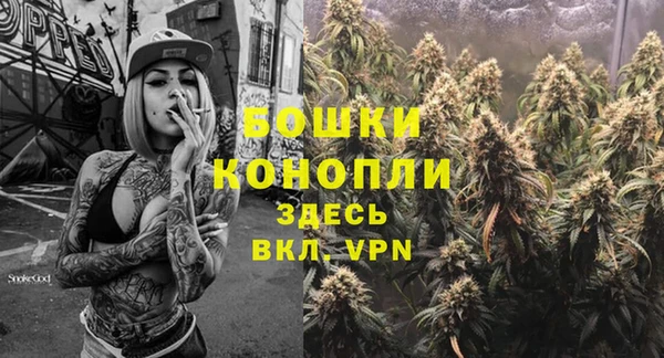 сатива Навашино