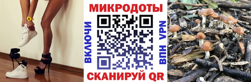 Галлюциногенные грибы Magic Shrooms  купить закладку  Троицк 